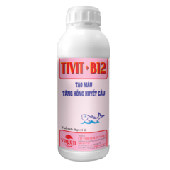 TIVIT + B12 - Tạo máu, tăng hồng cầu