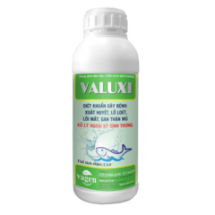 VALUXI cá - Diệt khuẩn gây bệnh xuất huyết, lở loét, lồi mắt, gan thận mủ. Xử lý ngoại ký sinh trùng