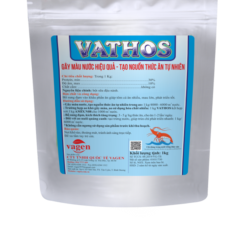 VATHOS tôm - Gây màu nước ao, tạo nguồn thức ăn tự nhiên