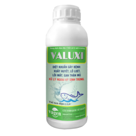 VALUXI cá - Diệt khuẩn gây bệnh xuất huyết, lở loét, lồi mắt, gan thận mủ. Xử lý ngoại ký sinh trùng